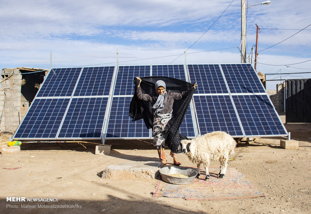 عکس: مهیار متولی‌زاده کاخکی/ مهر